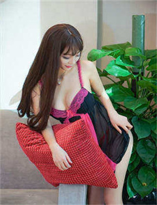 《胡桃夹子》