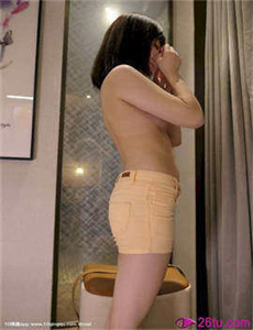 《手机赘婿电视剧》