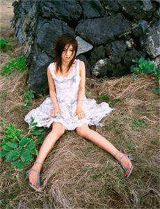 《八月桂花香》